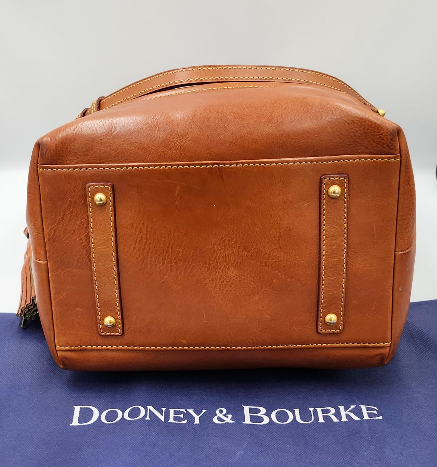 Dooney & Bourke Florentine Leather Buckley Bag